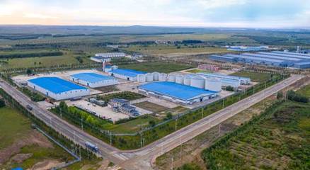 恒大糧油榮獲“深圳市重點農業龍頭企業”稱號，加碼布局優質蔬菜產業